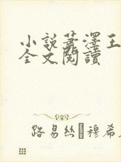 小说萧泽王雪凤全文阅读