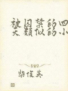 被囚禁的四十九天类似的小说