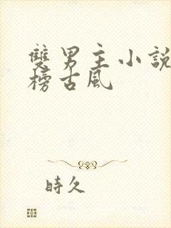 双男主小说排行榜古风