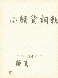小骚货调教