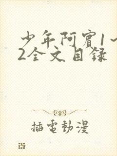 少年阿宾1～72全文目录