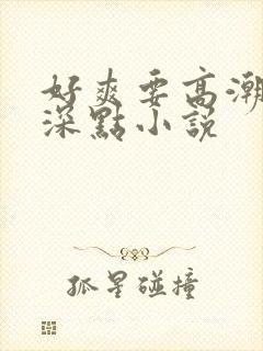 好爽要高潮了再深点小说