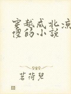 穿越成北凉王装傻的小说