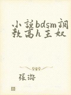 小说bdsm调教高h主奴
