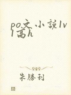 po文小说1v1高h