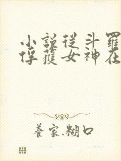 小说从斗罗开始俘获女神在线全文免费阅读