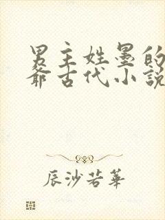 男主姓墨的是王爷古代小说