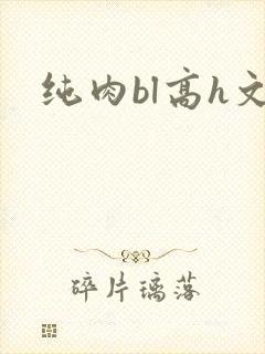 纯肉bl高h文