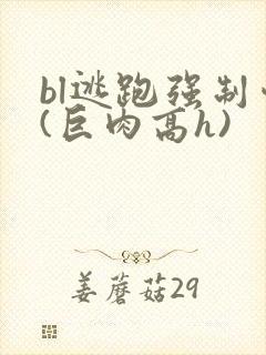 bl逃跑强制爱(巨肉高h)