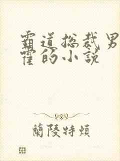 霸道总裁男主姓霍的小说