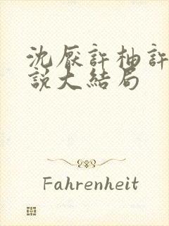 沈厌许柚许野小说大结局