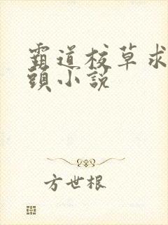 霸道校草求我回头小说