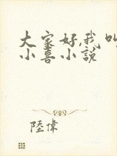 大家好,我叫林小喜小说