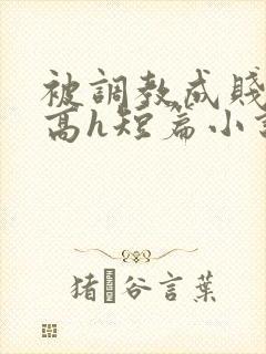 被调教成贱奴的高h短篇小说推荐封面