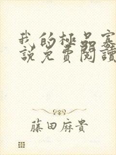 我的极品寡嫂小说免费阅读