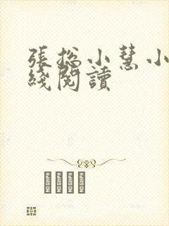 张总小慧小说在线阅读