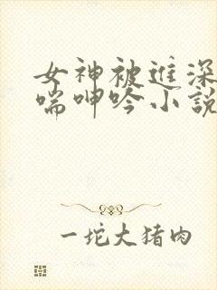 女神被进深处娇喘呻吟小说