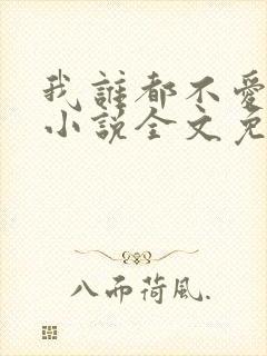 我谁都不爱快穿小说全文免费阅读封面