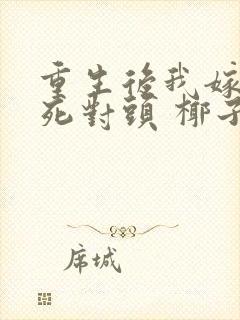 重生后我嫁给了死对头 椰子絮