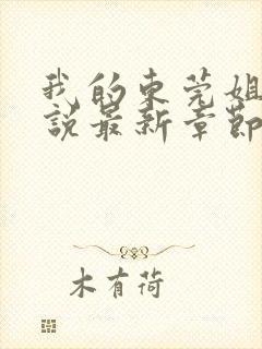 我的东莞姐姐小说最新章节更新