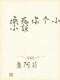 操死你个小骚货小说