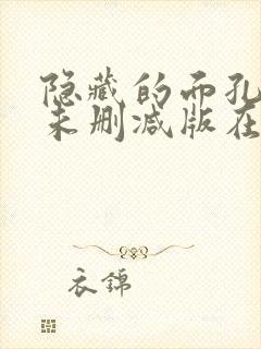 隐藏的面孔韩国未删减版在线观看