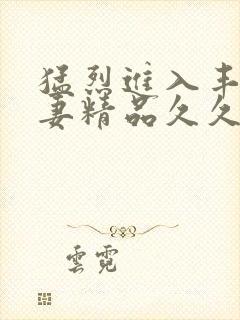 猛烈进入丰满人妻精品久久久