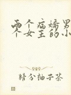 两个病娇男主一个女主的小说