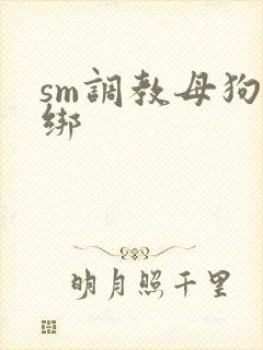 sm调教母狗捆绑