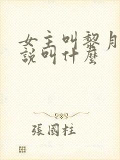 女主叫黎月的小说叫什么封面