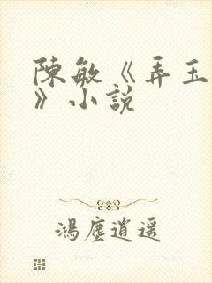 陈敏《弄玉偷香》小说