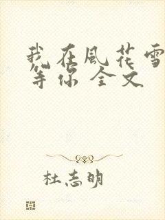我在风花雪月中等你 全文