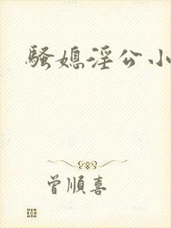 骚媳淫公小说封面