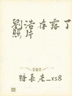 刘浩存露了奶头照片