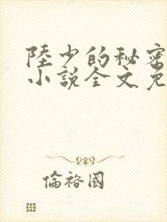 陆少的秘密恋人小说全文免费阅读无弹窗