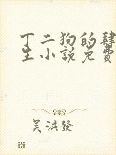 丁二狗的肆意人生小说免费阅读全文完整版封面