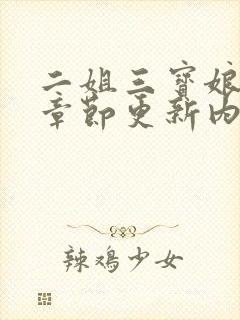 二姐三宝娘最新章节更新内容封面