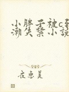 小胖子被c到高潮失禁小说