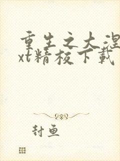 重生之大涅磐txt精校下载