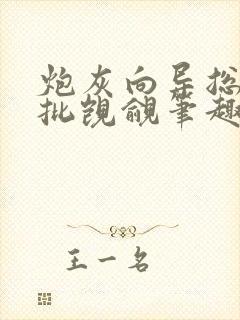 炮灰向导总惹疯批觊觎笔趣阁