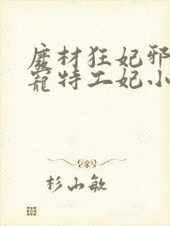 废材狂妃邪王盛宠特工妃小说封面