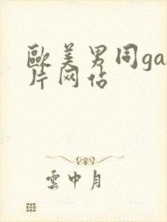 欧美男同gay片网站