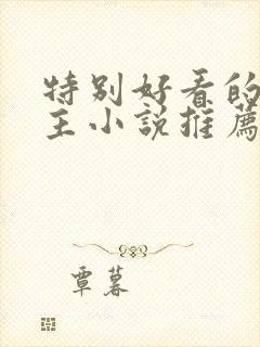 特别好看的双男主小说推荐