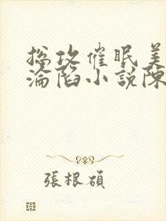 总攻催眠美人的沦陷小说陈楚敬封面