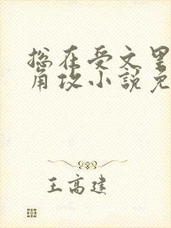 总在受文里抢主角攻小说免费阅读