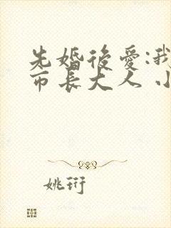 先婚后爱:我的市长大人 小说封面