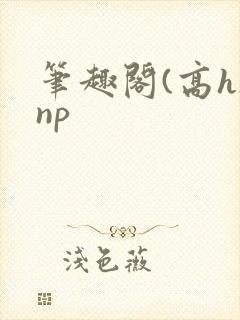 笔趣阁(高h)np