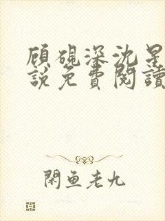 顾砚深沈星瑶小说免费阅读最新章节