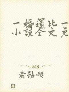 一婚还比一婚高小说全文免费阅读