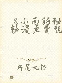 《小南的秘密》动漫免费观看在线